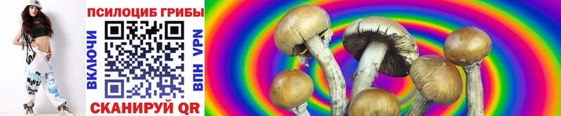 Галлюциногенные грибы Cubensis купить наркотики сайты гидра как зайти Дюртюли